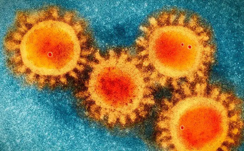 Koronawirus SARS-CoV-2 nie powstał w laboratorium! Mógł pojawić się u ludzi lata temu