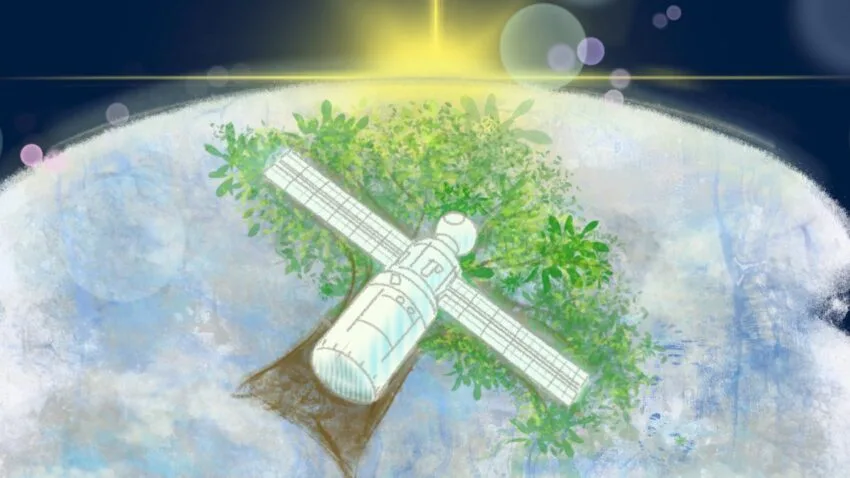 Japończycy chcą wysłać w kosmos satelitę wykonanego z drewna