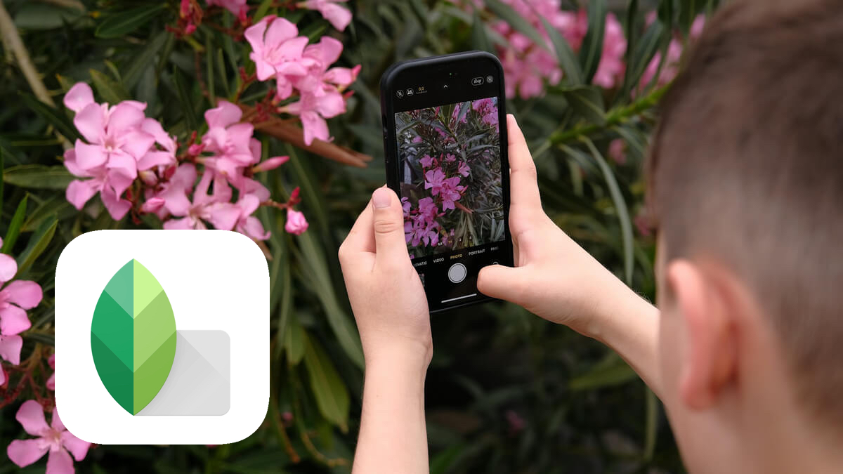 Zapomniana legenda powraca. Google Snapseed 4.0 zaskakuje nowościami