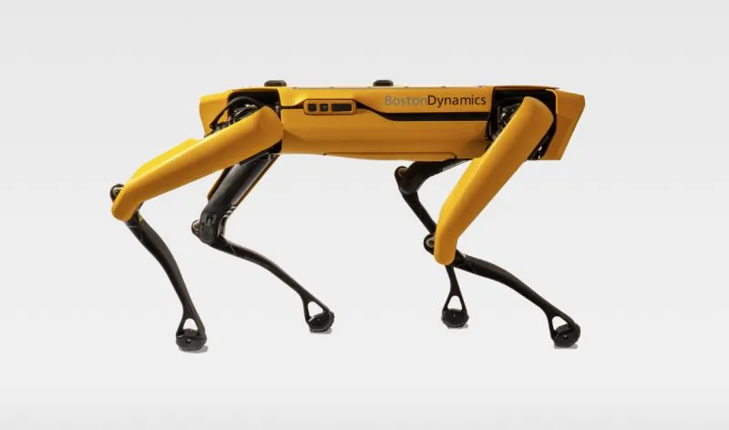 Robot od Boston Dynamics przypomina o zachowywaniu dystansu w czasie pandemii