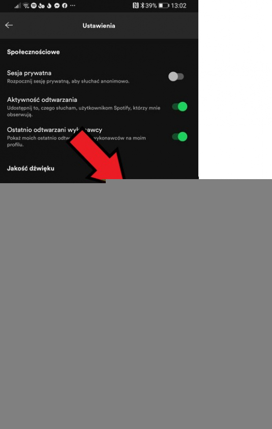 spotify jakosc dzwieku 4