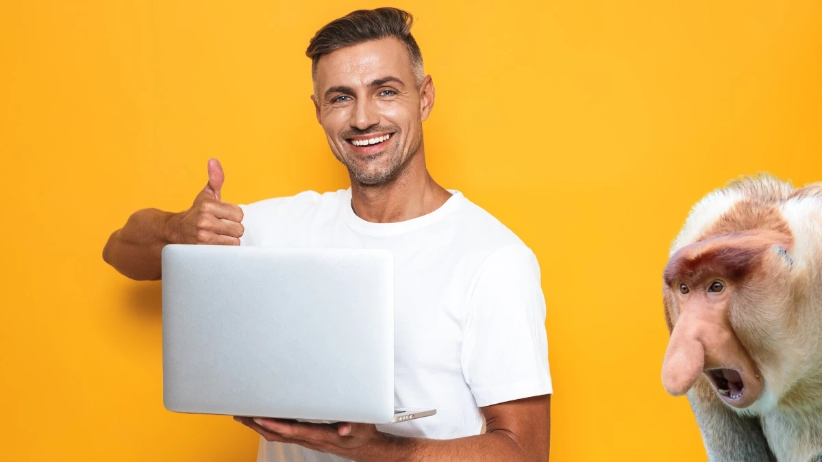 Ja rozumiem, że mamy inflację, ale ceny subskrypcji zaczynają być przesadą