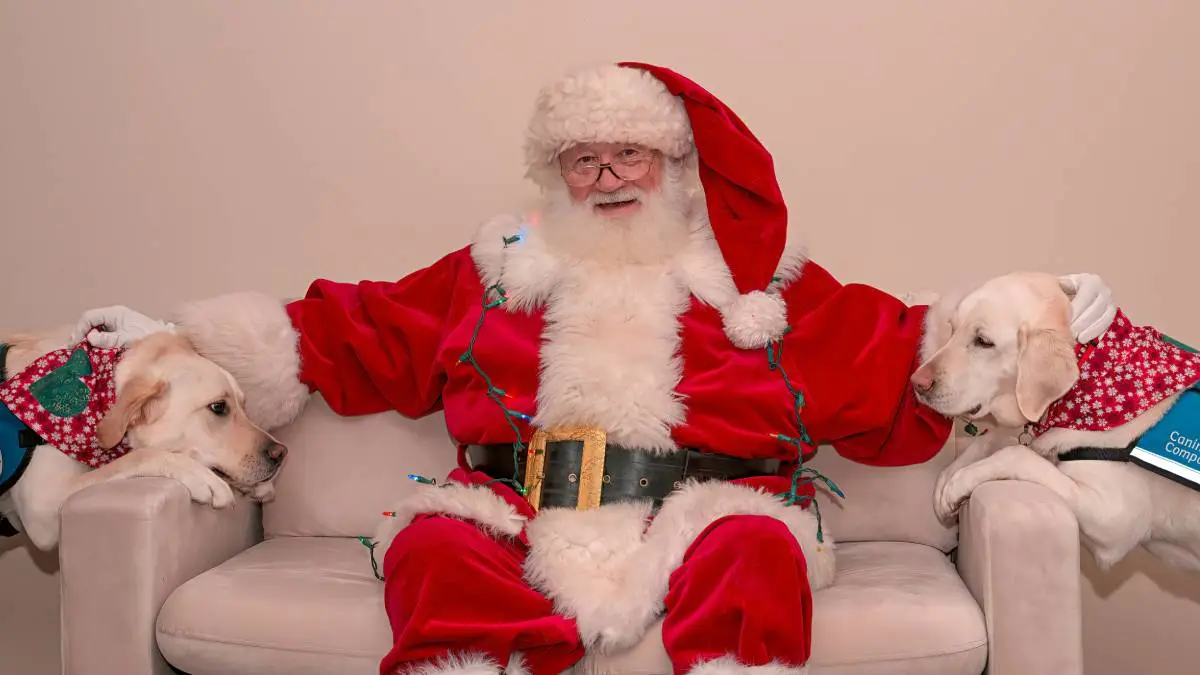 Święty Mikołaj znów w trasie. Tak możesz śledzić jego podróż