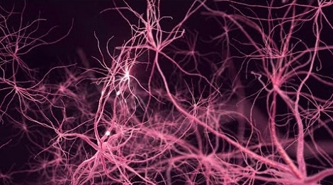 SwiftKey Neural – klawiatura na Androida, która funkcjonuje jak ludzki mózg