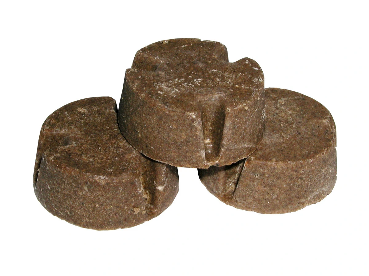 szczepionka dla lisów