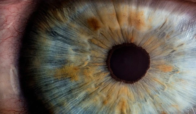 Naukowcy stworzyli sztuczne oko, które działa jak ludzkie
