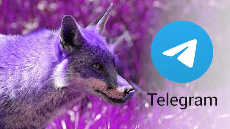 Telegram Desktop czy groźny wirus Purple Fox? Nie instaluj programów z niepewnych źródeł