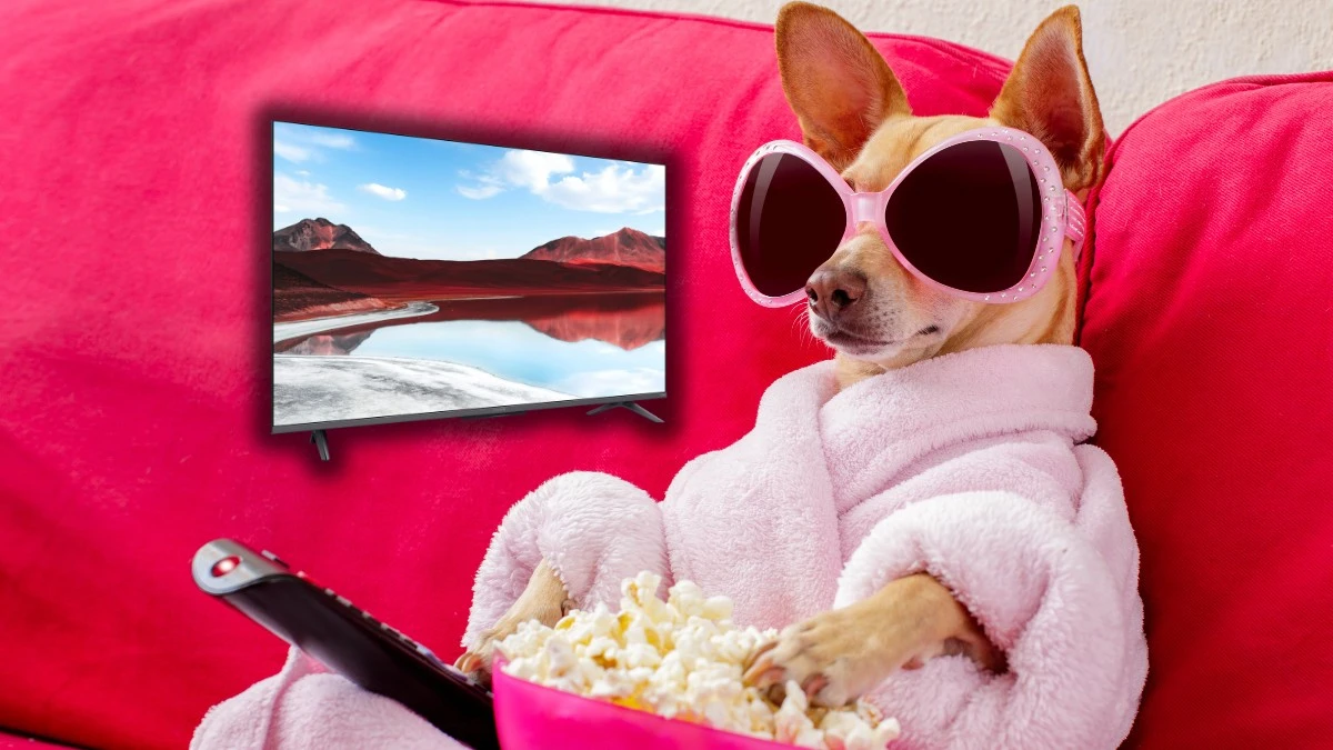 Duży telewizor Xiaomi za małe pieniądze to triumf rozsądku nad rozrzutnością