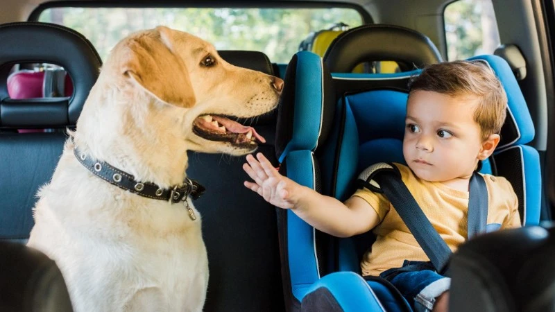 Tesla ma wykryć dziecko zamknięte w samochodzie podczas upału