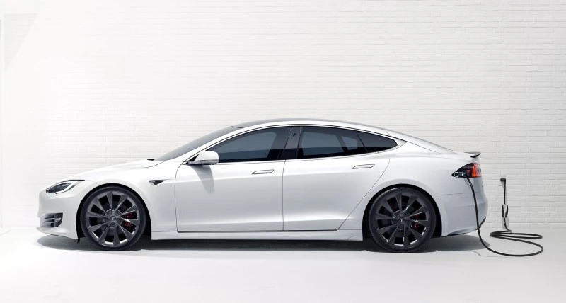 Niemiecki sąd zakazał Tesli wycinki drzew! Prace nad europejską Gigafactory wstrzymane