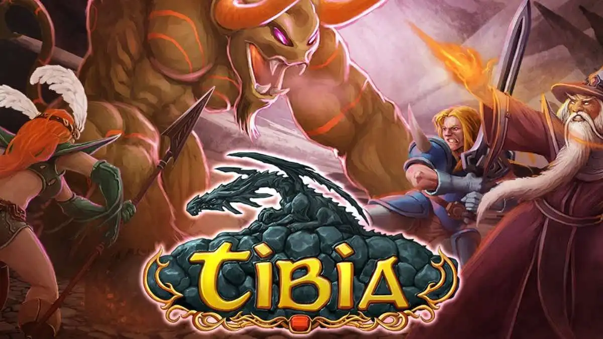 Czas na nowy komputer. Tibia podwyższa wymagania sprzętowe