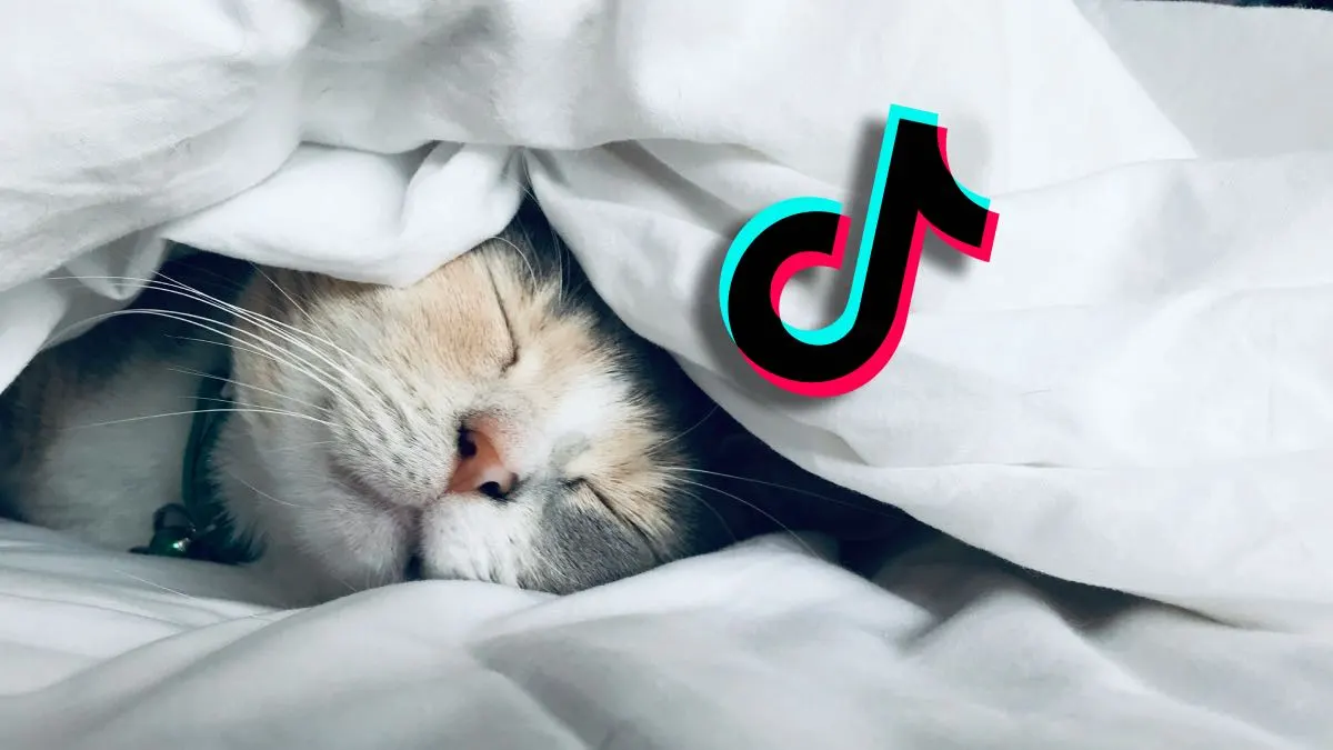 TikTok pomoże w zaśnięciu. Medytacyjne funkcje już są