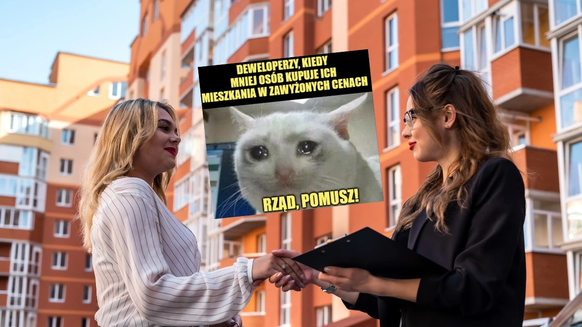 Tłumacz deweloperski tłumaczy ogłoszenia z deweloperskiego na polski