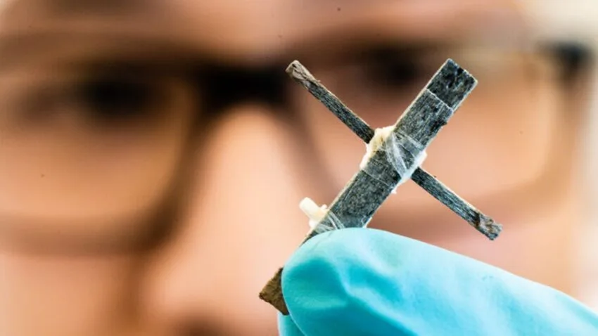 Naukowcy stworzyli tranzystor z drewna. Dobry pomysł na kryzysowe czasy?