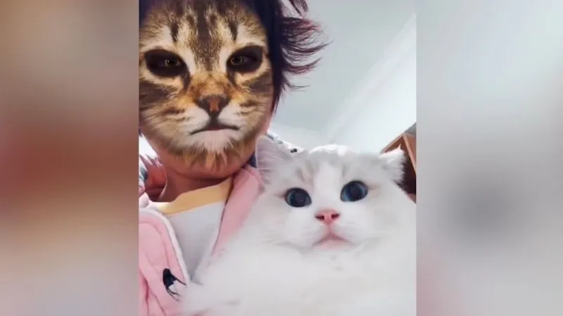 Trollowanie kotów przy użyciu kociego filtra poprawi Ci humor [wideo]