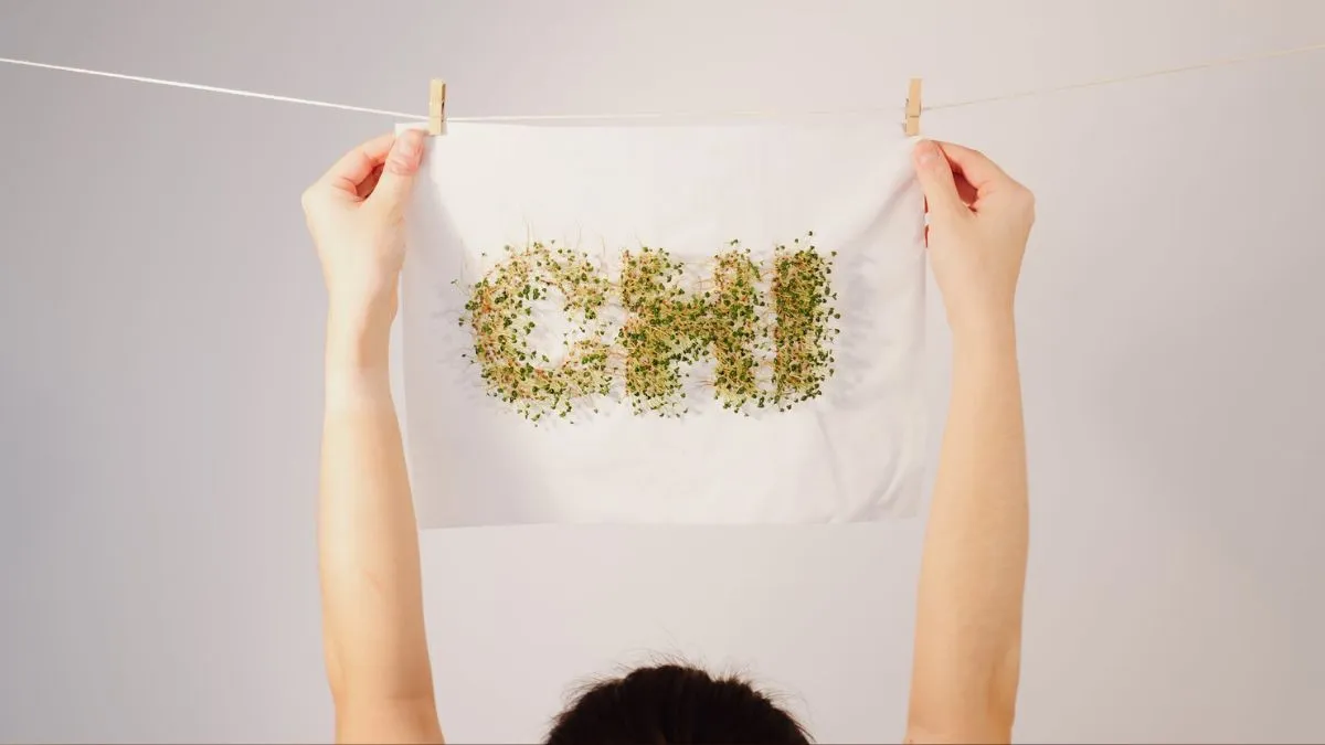 Ubrania, które trzeba podlewać – nowy trend eko-mody