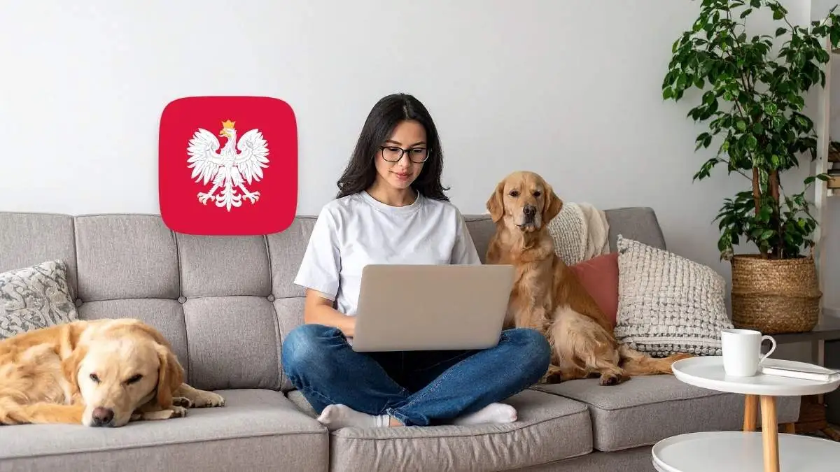 Urzędy świecą pustkami. Sprawy załatwiacie głównie online