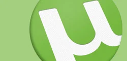 uTorrent przestał działać. Pokazujemy jak naprawić błąd Flash.ocx