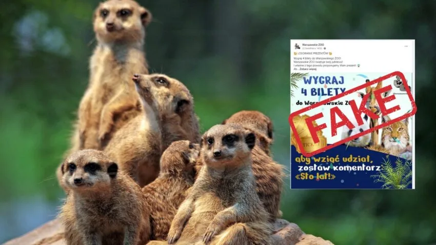 Uwaga na darmowe bilety do zoo. To nowe oszustwo na Facebooku