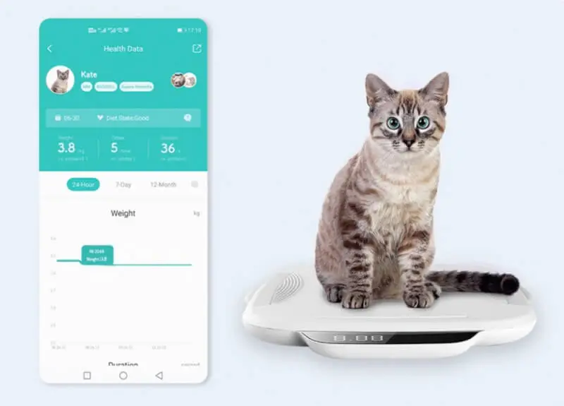 Monitoruj stan zdrowia kotów. Z WeCare to banalne