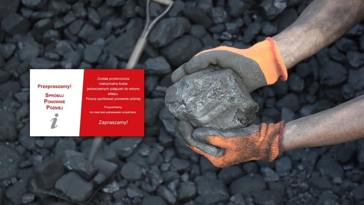 Chcesz kupić węgiel przez internet? Oto, dlaczego nie możesz