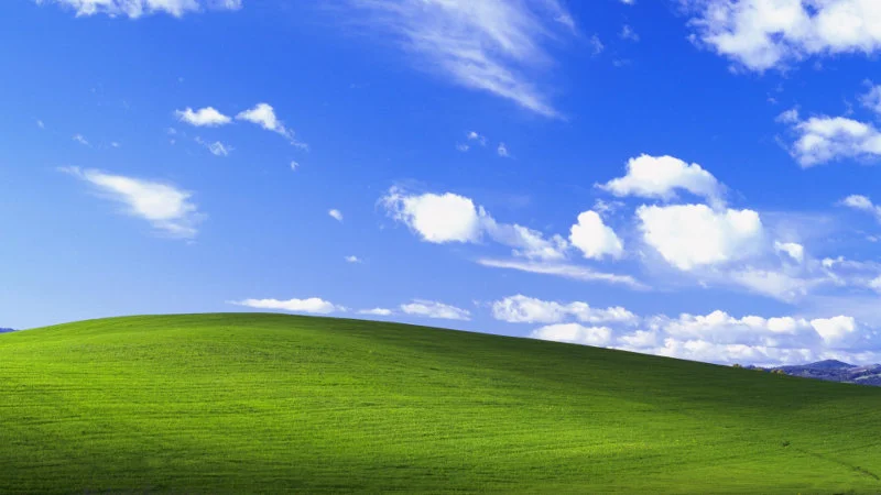 Windows XP powoli traci popularność