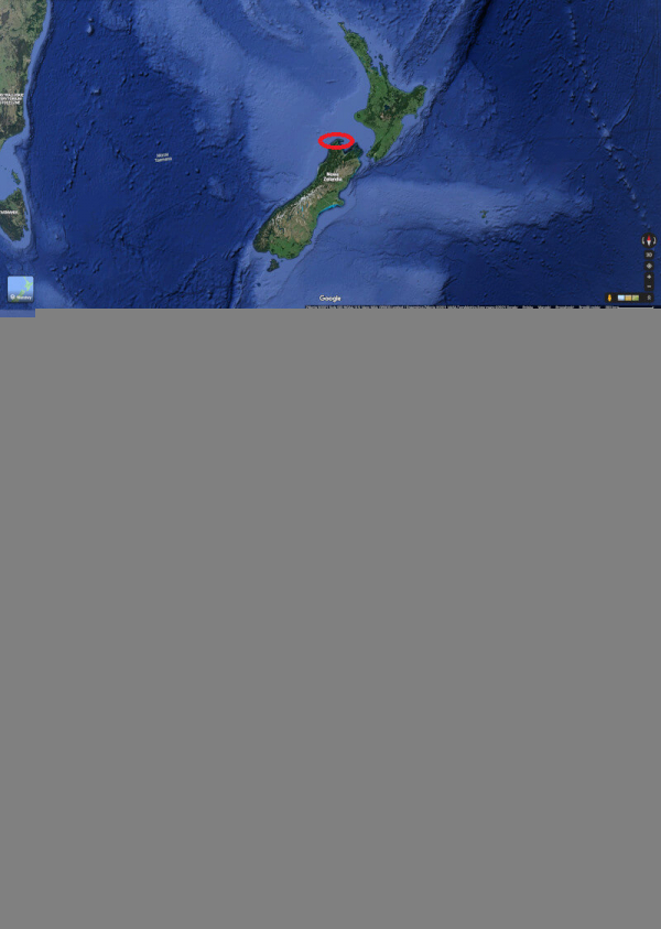 Windows 10 ekran blokady ze skałami - lokalizacja na Google Maps