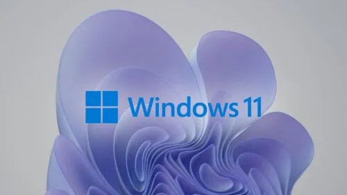 Windows 11