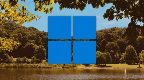 Windows 11