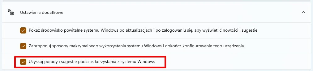 Windows 11