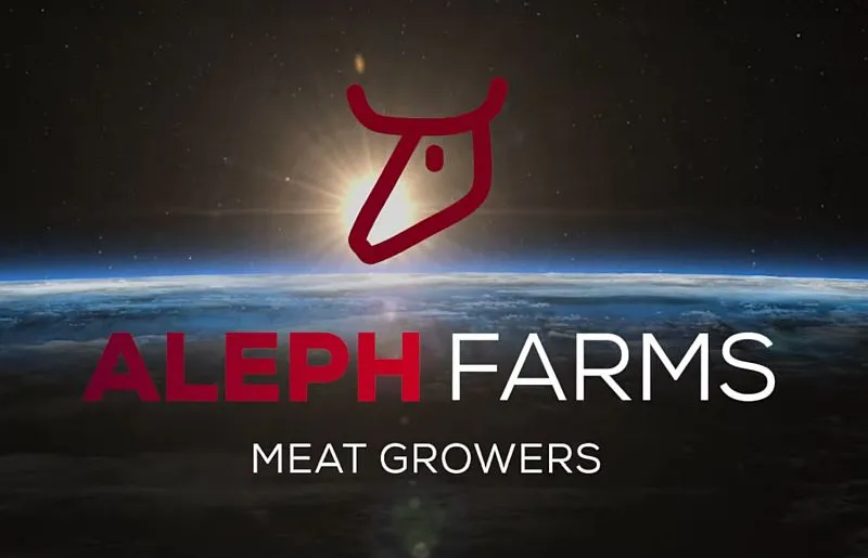 Astronauci wyhodowali wołowinę w kosmosie. Ludzkość robi krok w stronę zakończenia uboju