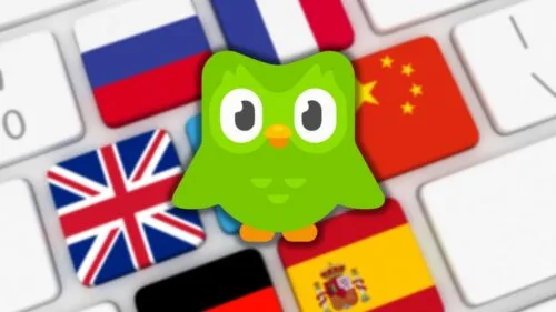 Wyciek danych użytkowników Duolingo. Można je kupić za 10 zł