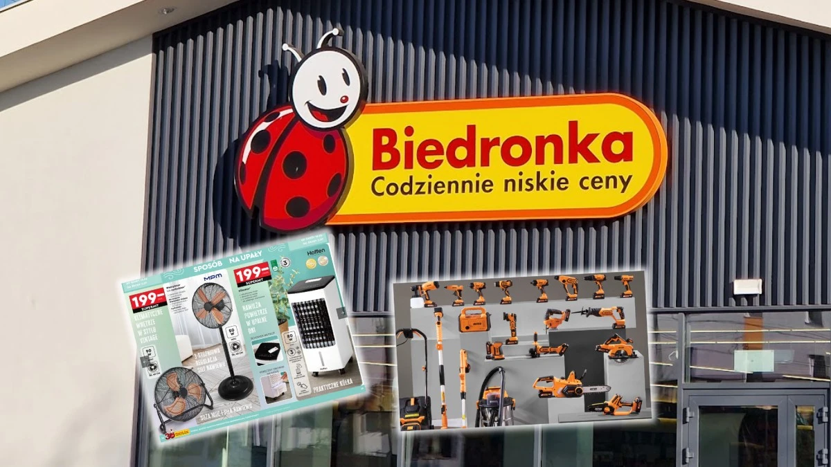 Giga wyprzedaż w Biedronce. Akumulator Niteo za 1 zł i inne, wow