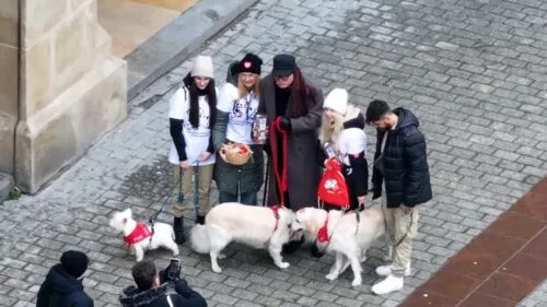 youtuber budda wpłacił do puszki WOŚP 100000 złotych