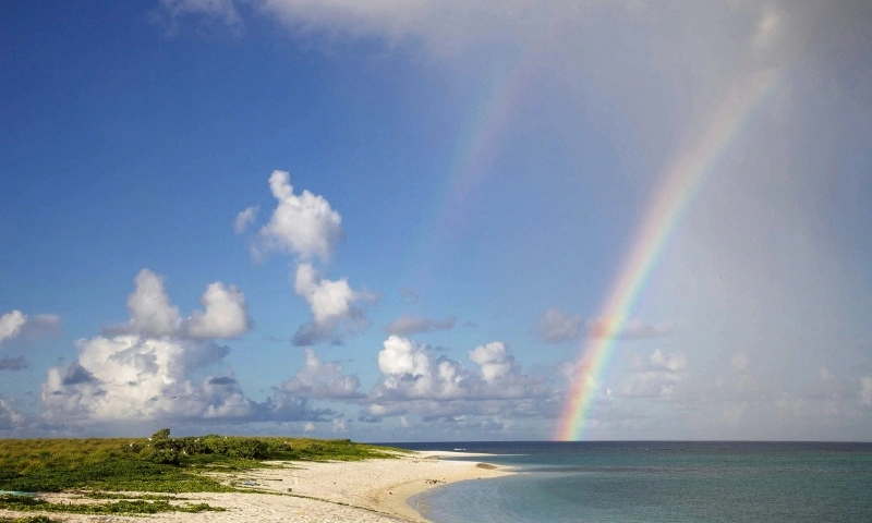 Sztuczna inteligencja Microsoftu opisuje zdjęcia tak dobrze jak ludzie