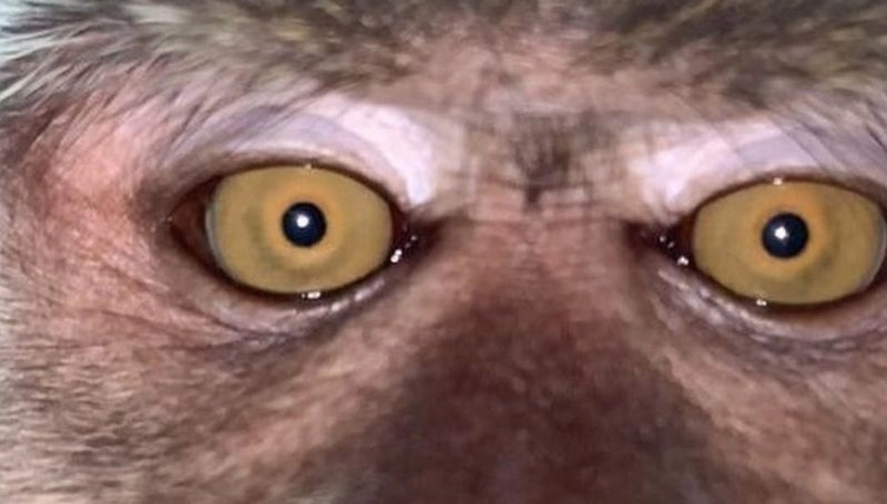 Mężczyzna zgubił telefon. Gdy go odnalazł, zobaczył niezwykłe zdjęcia