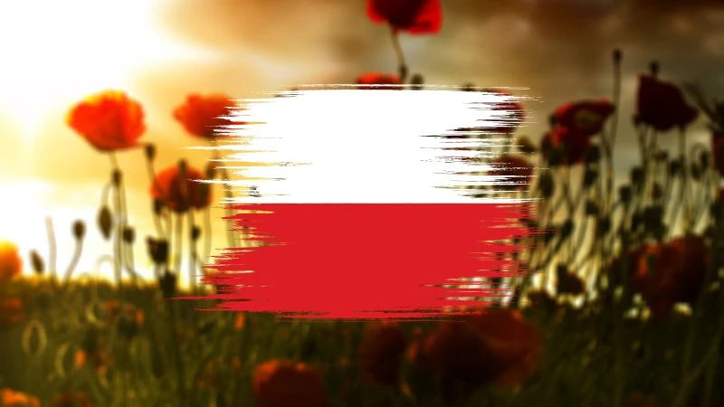 Zdjęcie polskiej wsi robi furorę w Internecie na całym świecie